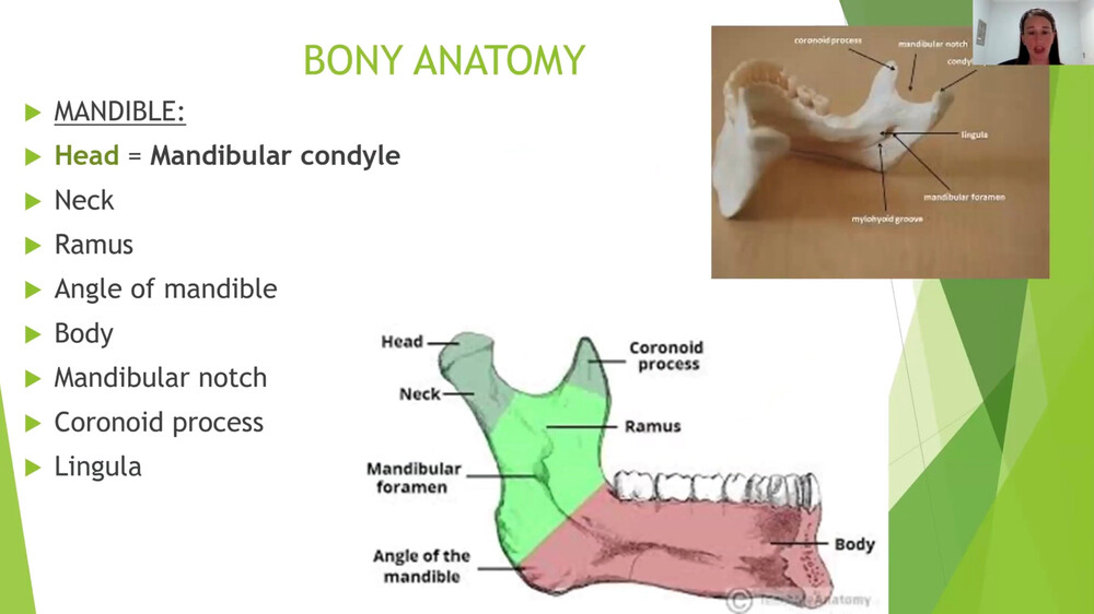 Introduction into the Temporomandibular Joint