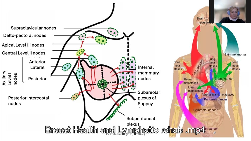 Breast Health and Lymphatic Rehab for Allied Health Professionals